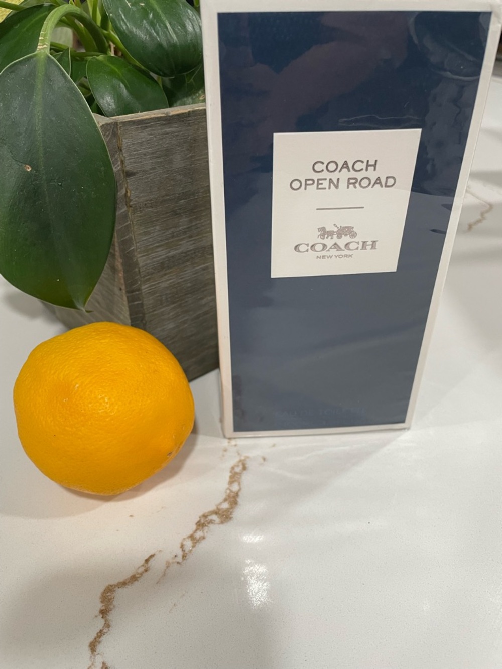 COACH OPEN ROAD by Coach EDT SPRAY 3.4 OZ - Men’s Sealed Authentic